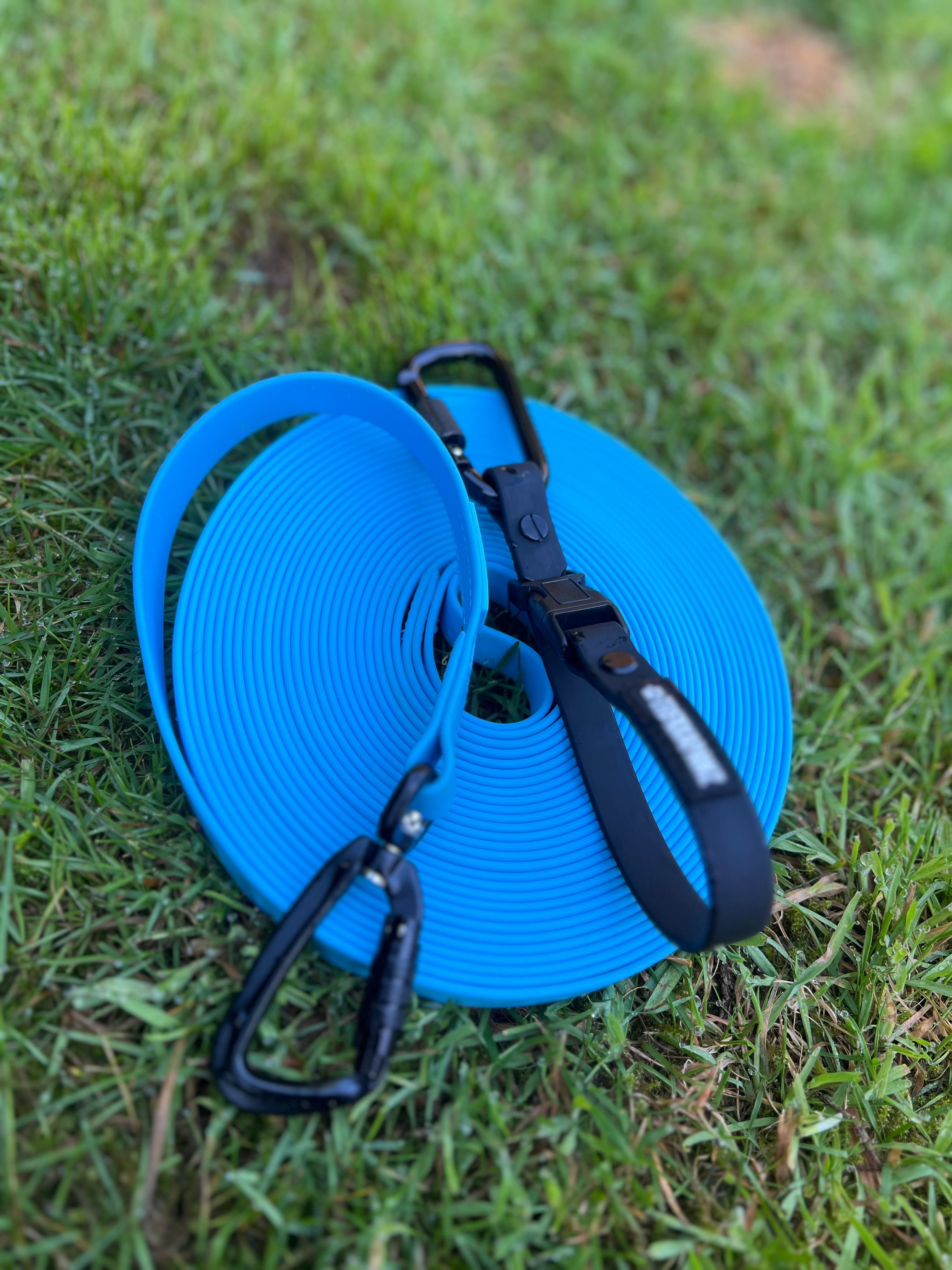 Dog Walker Bundle (6 Pack)
