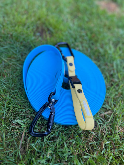 Dog Walker Bundle (4 Pack)