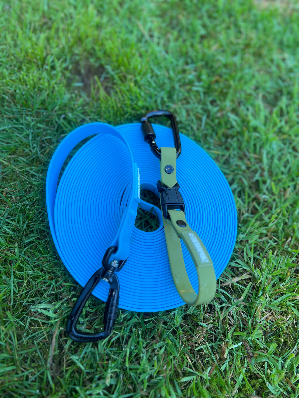 Dog Walker Bundle (6 Pack)