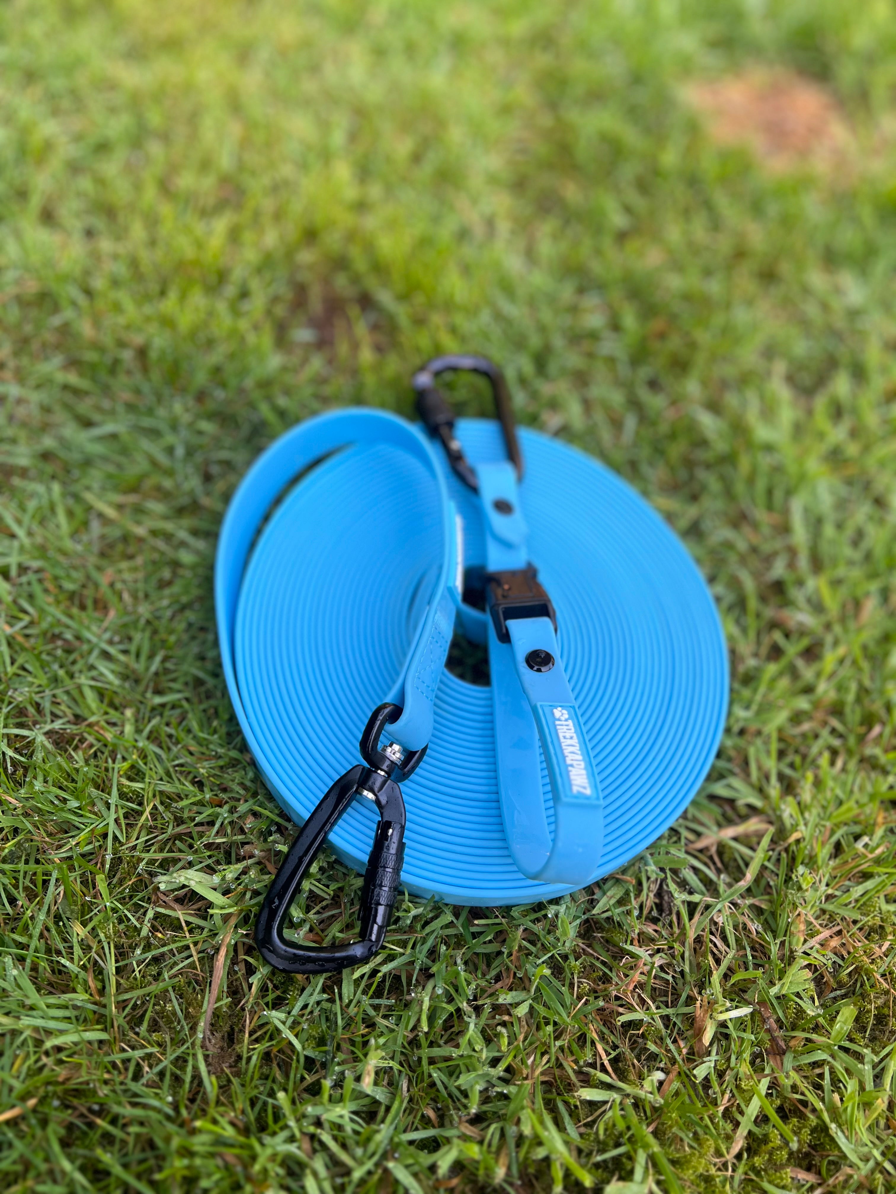 Dog Walker Bundle (6 Pack)