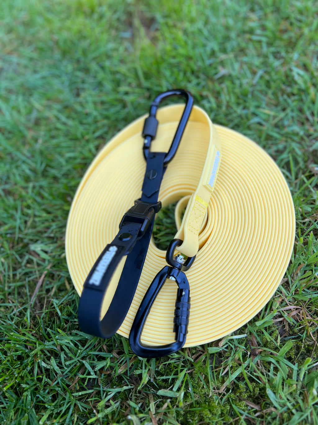 Dog Walker Bundle (6 Pack)