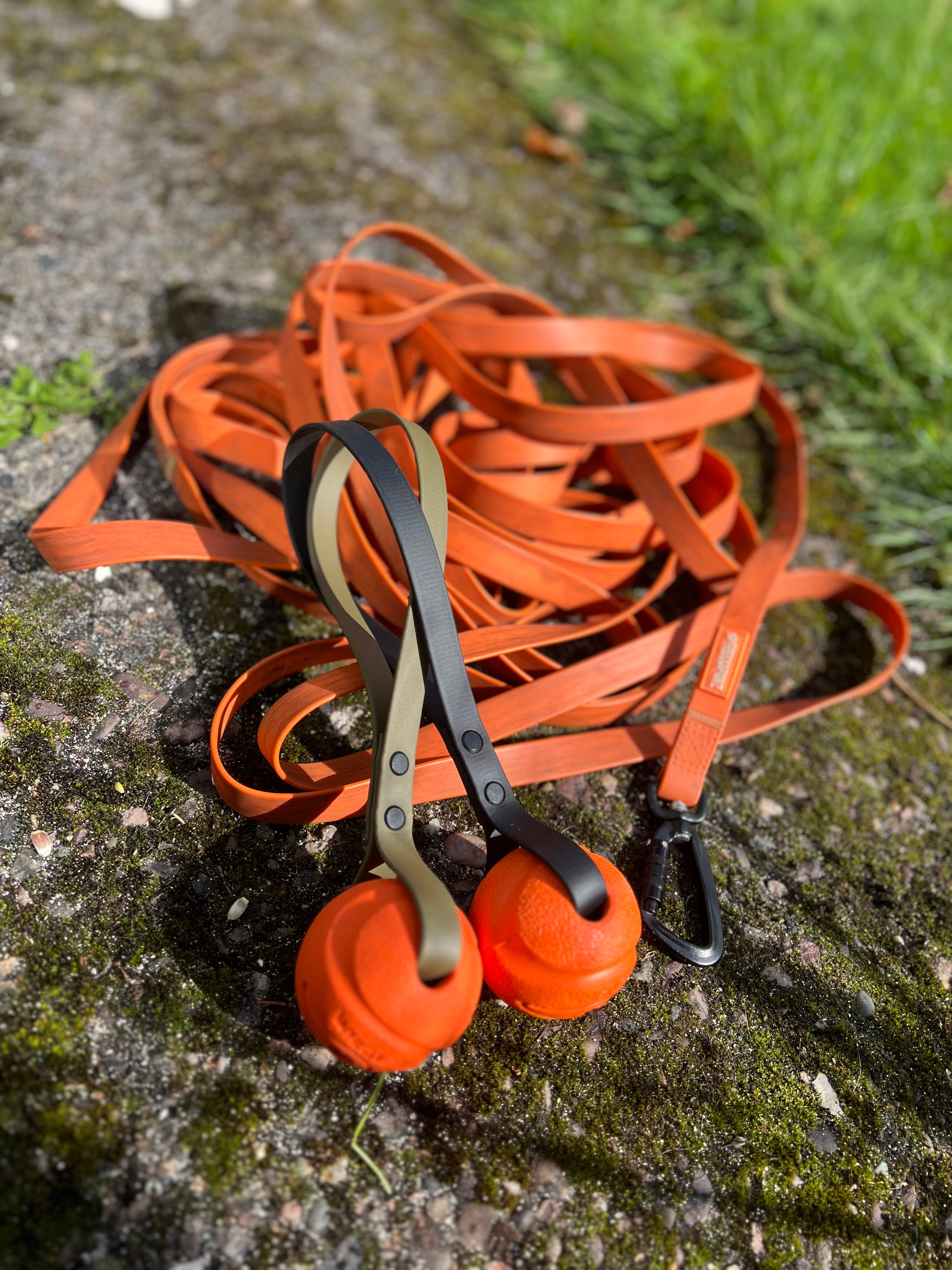 TrekkaPawz Training Ball