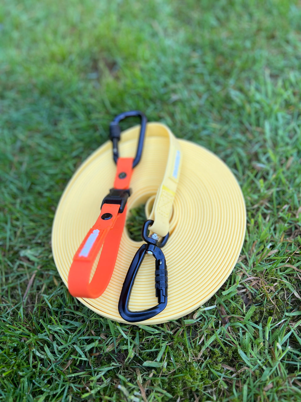 Dog Walker Bundle (6 Pack)